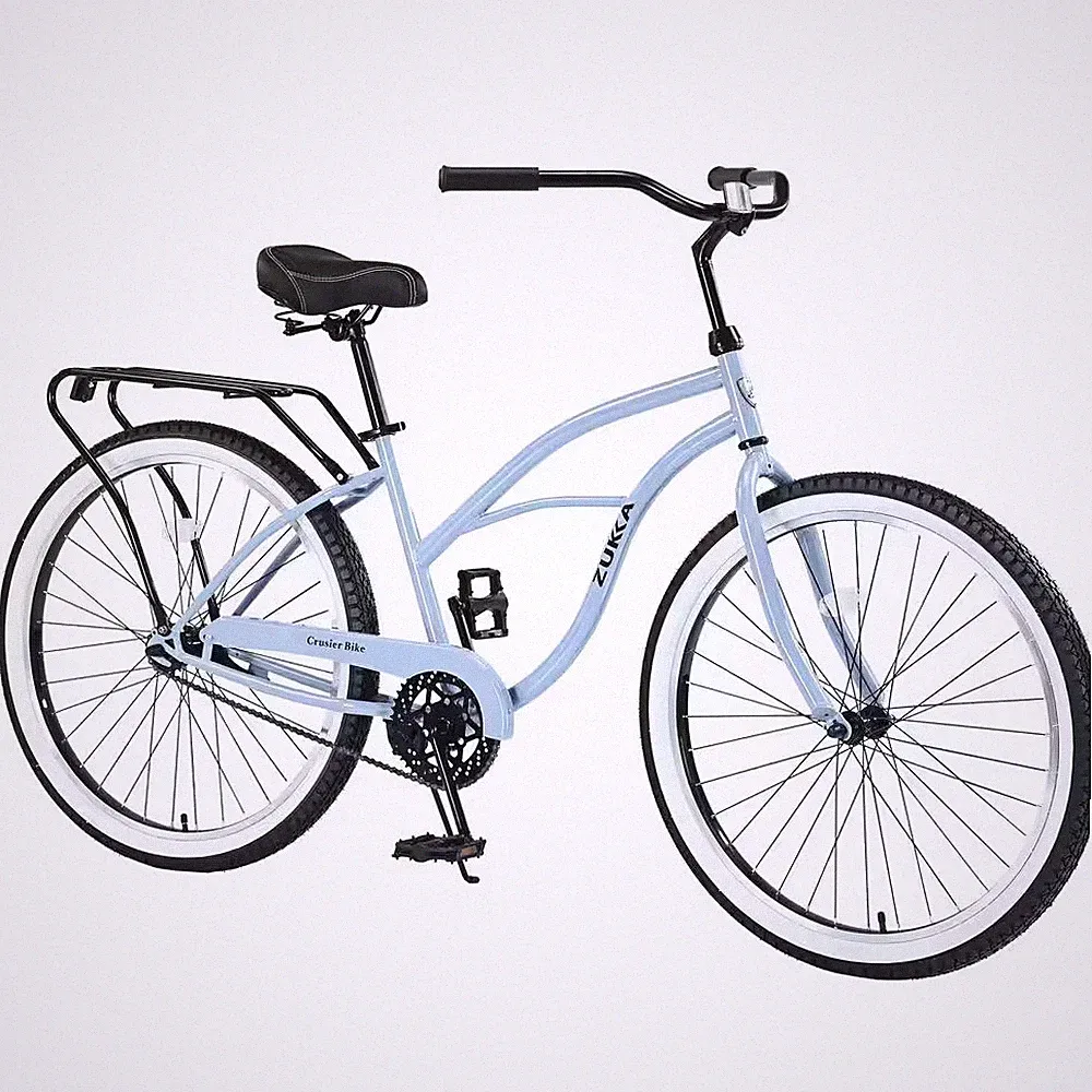 Cargo Rack Single Speed Bike