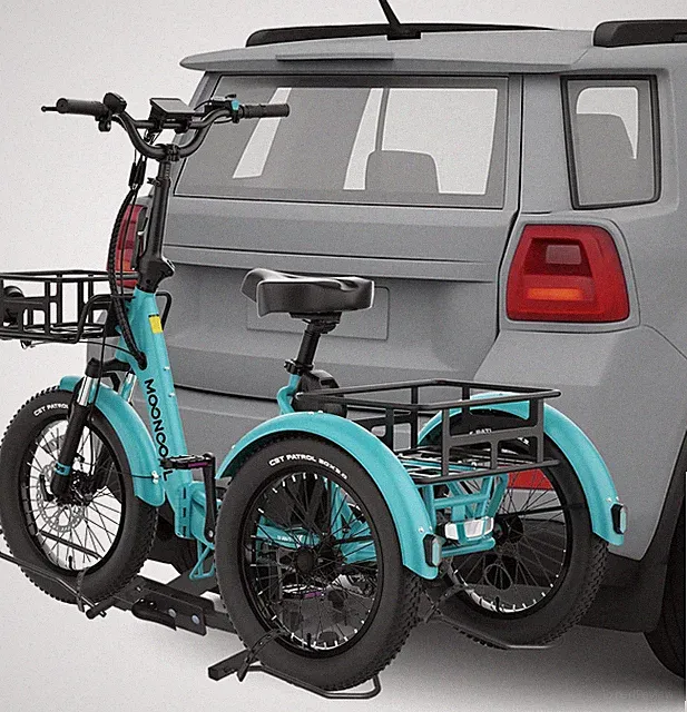 NAIZEA Trike Rack for Ebike Heavy-Duty,Fat Tire 3 Wheel Bike Rack for Tow Hitch